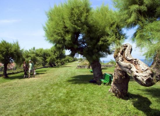 "Ruta Urbana y Paseo Fluvial" "Ruta Urbana y Paseo Fluvial"