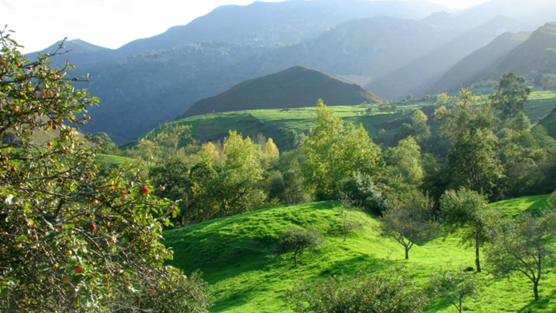 Valle de Purón